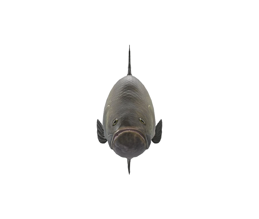 GUC conversion preview