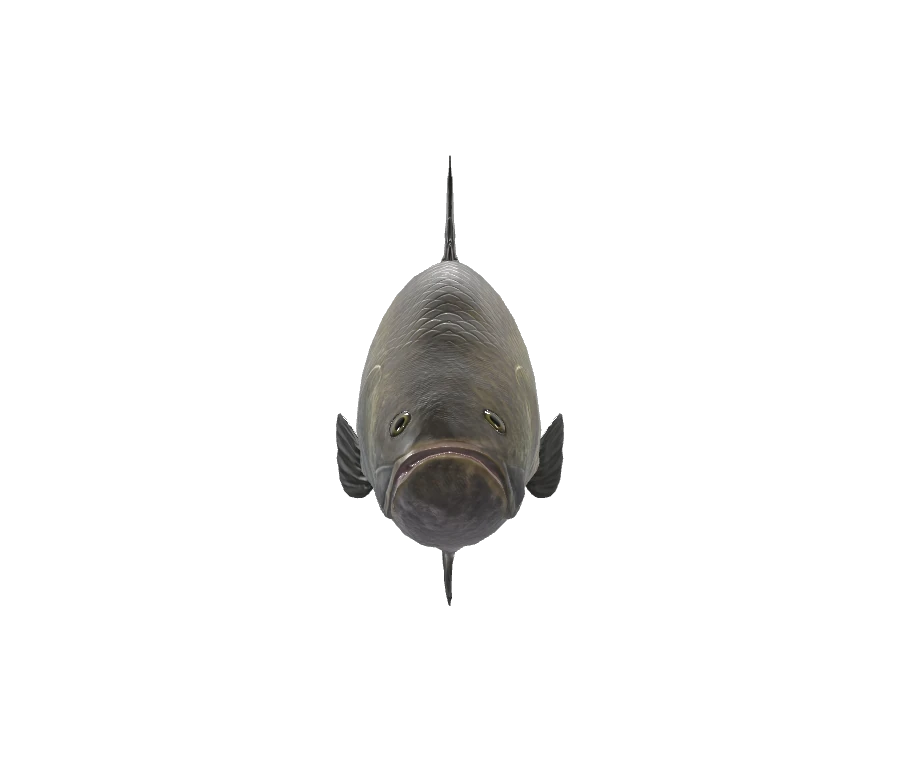 Needle conversion preview