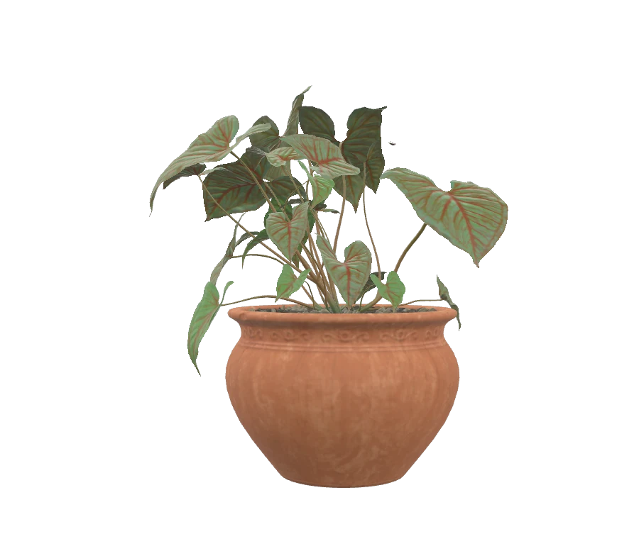 Blender 5.1 conversion preview
