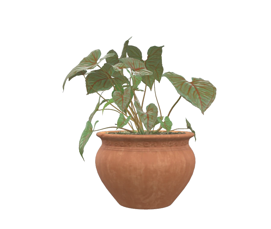 Source asset preview