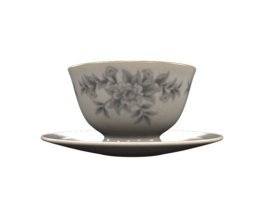 Source asset preview