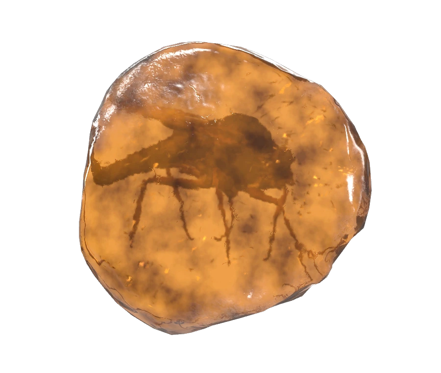 Mosquito In Amber