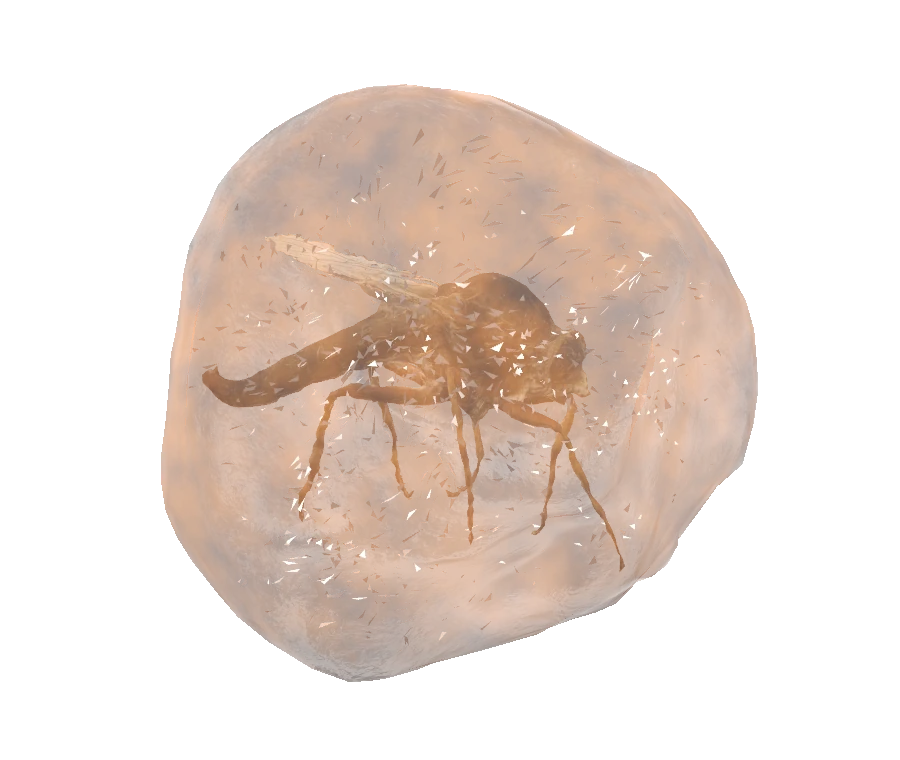 Needle conversion preview